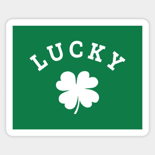 Lucky 4 Leaf Clover Sticker